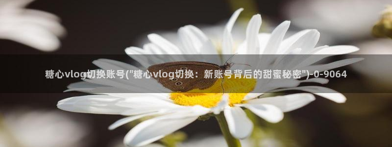 幸福宝糖心vlog：糖心vlog切换账号(\