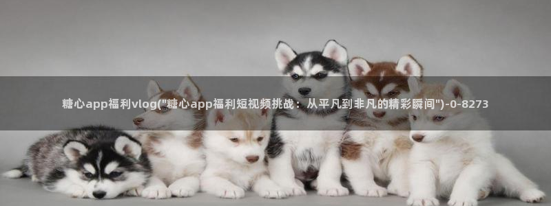 糖心vlog生肖卡：糖心app福利vlog(\