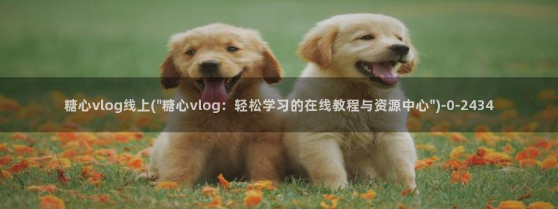 成人糖心vlog小桃：糖心vlog线上(\