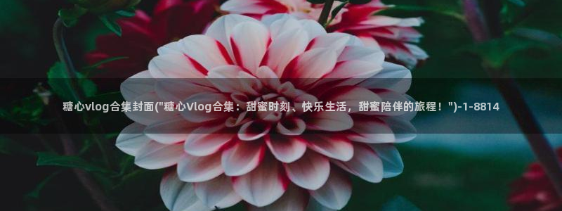 成人软件糖心vlog：糖心vlog合集封面(\