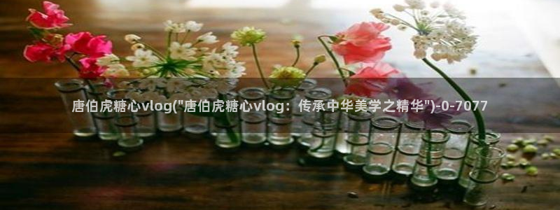 糖心vlog up主：唐伯虎糖心vlog(\